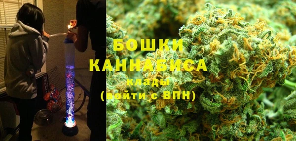 прущие грибы Балахна