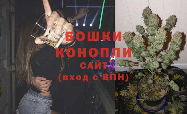 прущие грибы Балахна