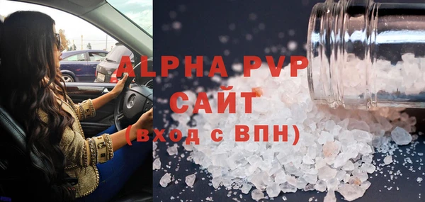 прущие грибы Балахна