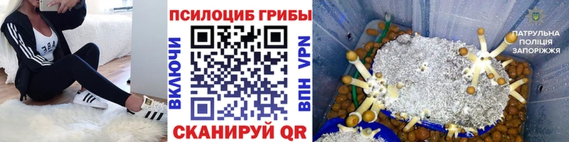 Псилоцибиновые грибы ЛСД  Купить  Троицк 